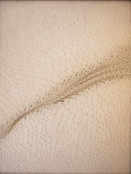 Cracked, dry earth with a curved, textured line running through&mdash;like parched skin or desert ground.