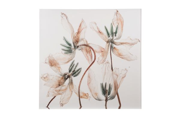 A delicate watercolor of pale flowers with thin stems and muted brown-green accents, arranged gracefully on a light background.